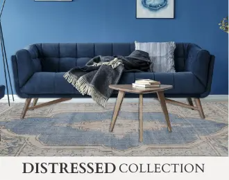 Distressed Rugs